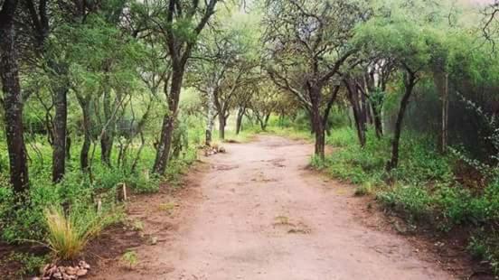Entre Sierras y Pajaros - Holiday Home with Mountain View - 26