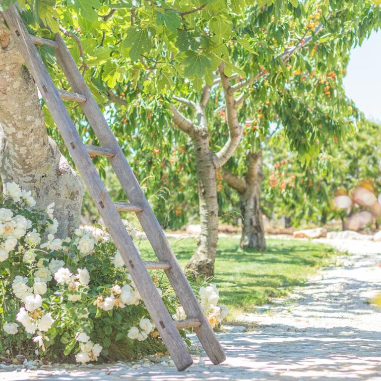 Masseria Rosa Trulli Relais - Suite Superior con Vasca Idromassaggio - 6