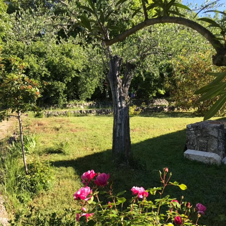 Villa du Sud - Maison 1 Chambre - 9