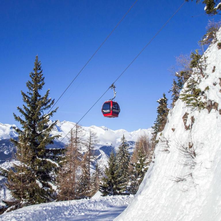 Chalet Skilift - Apartment mit Blick auf die Berge - 15