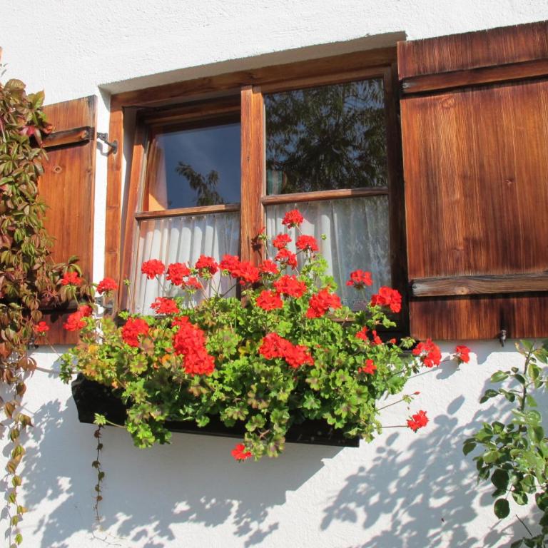Gästehaus Bergstüberl - Studio-Apartment - 1