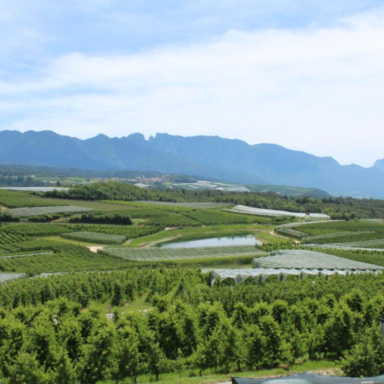 Appartamento Widmann - Appartamento con Vista Montagna - 9