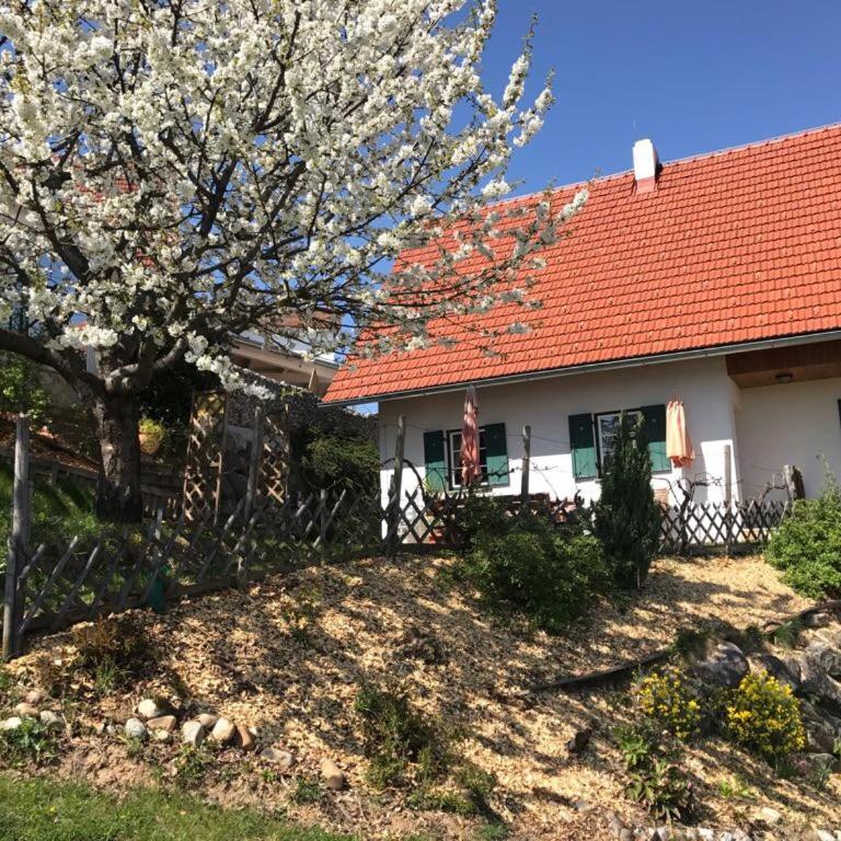 Kellerstöckl Goigner - Casa Vacanze - 41