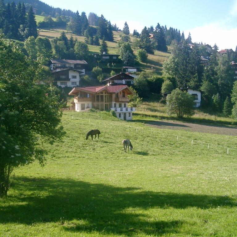 Pension Steinerhof - Apartment mit 1 Schlafzimmer - 1