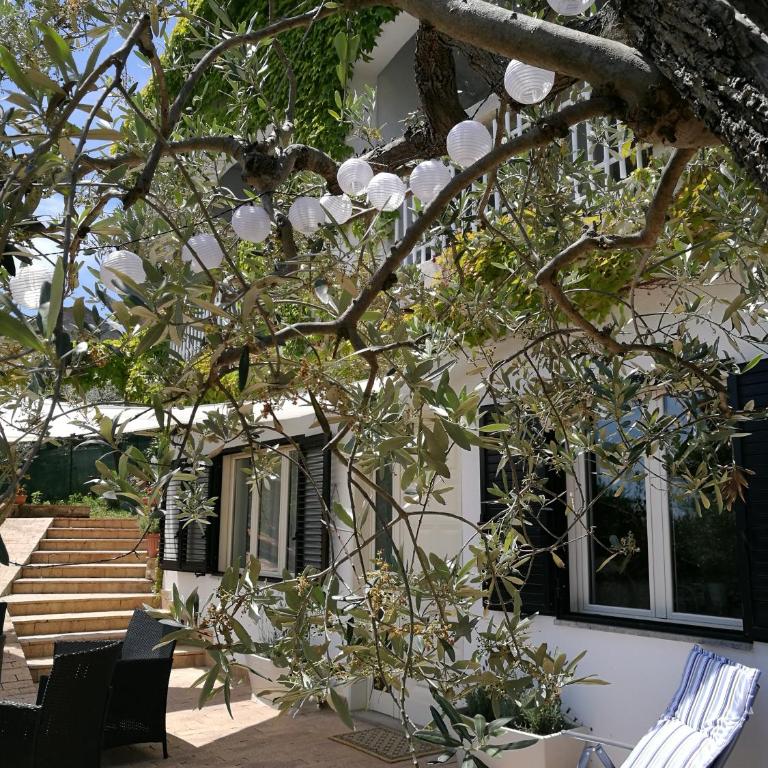 Villa Rosaria - Casa Vacanze - 4