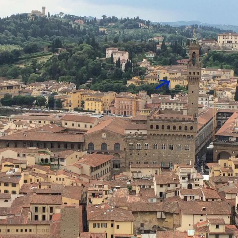 Florence View Luxury Apartment - Appartamento Deluxe - 11