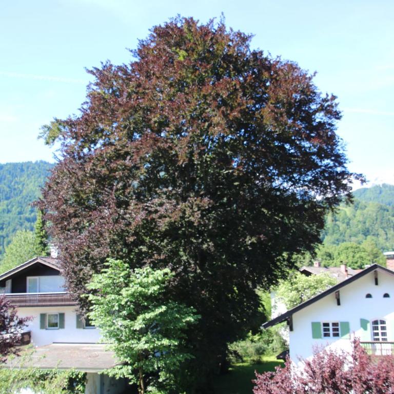 Alpen - Apartments - Apartamento de 1 dormitorio - 13