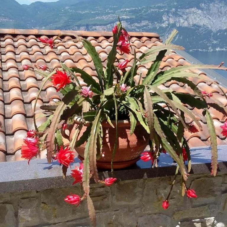 Casa Valenti - Appartamento con 1 Camera da Letto - 40
