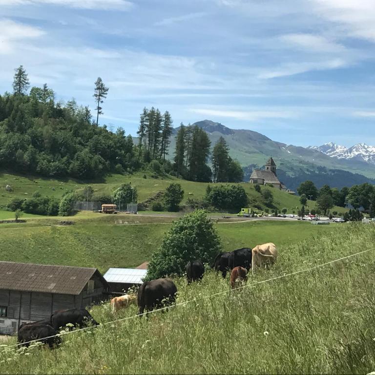 Ferienwohnung Laax mit Traumblick, großem Balkon und Terrasse - Apartment mit 2 Schlafzimmern - 41