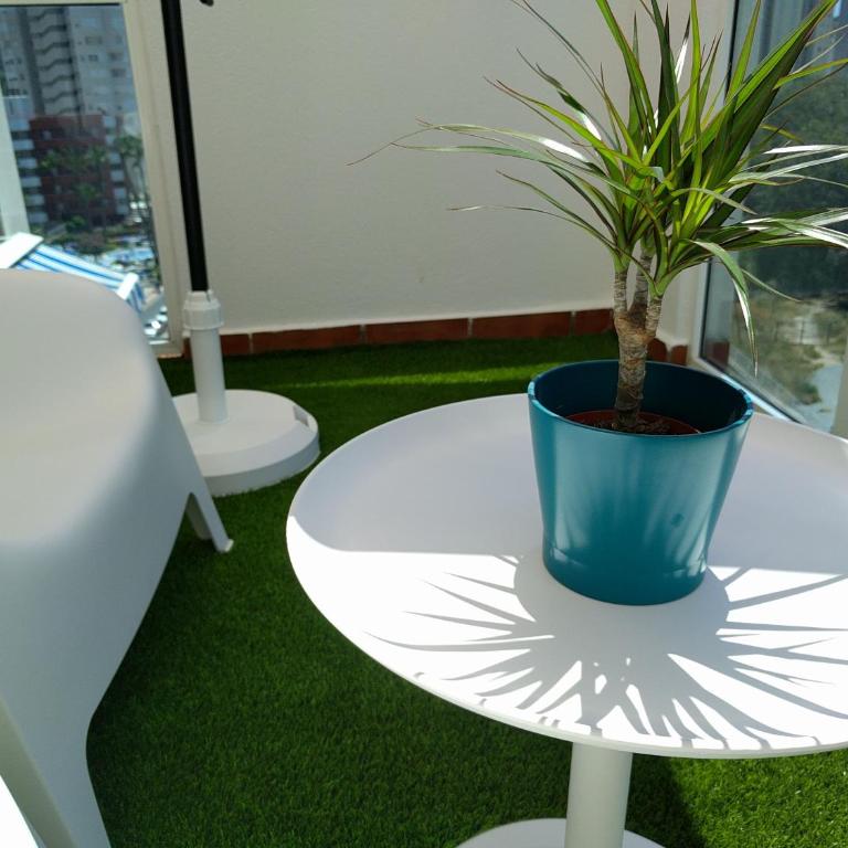 Apartamento Cala Finestrat - Apartment with Terrace - 5
