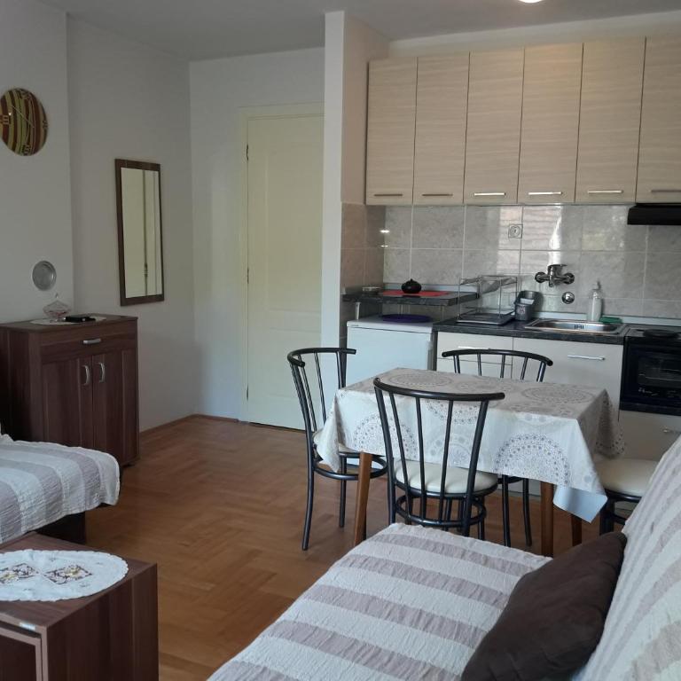 Studio S Sokobanja - Studio Apartman - 13