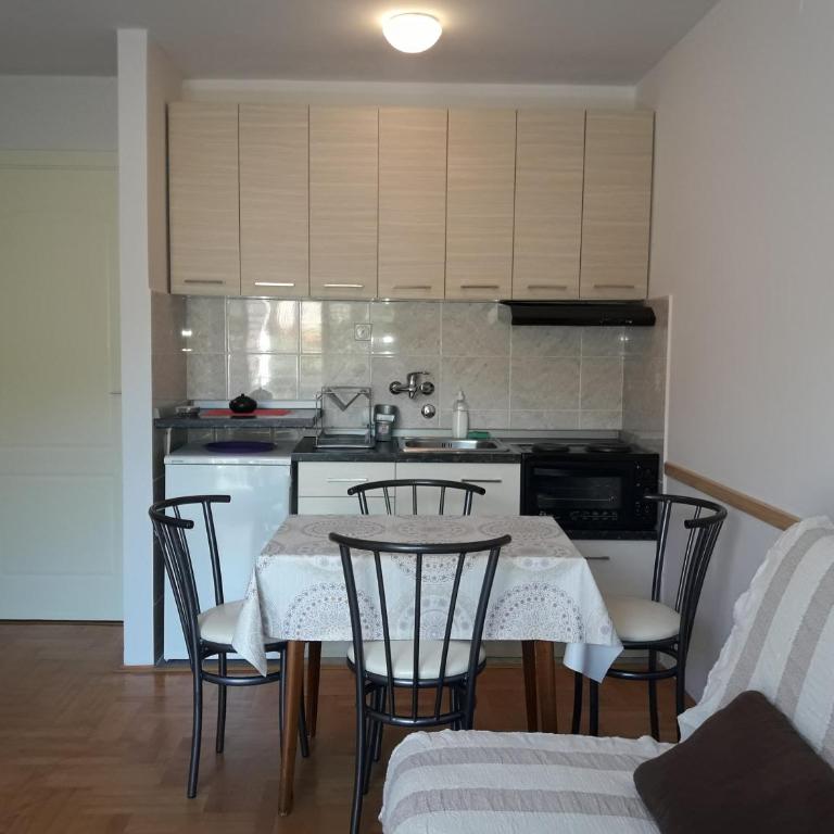 Studio S Sokobanja - Studio Apartman - 12