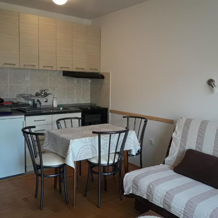 Studio S Sokobanja - Studio Apartman - 14