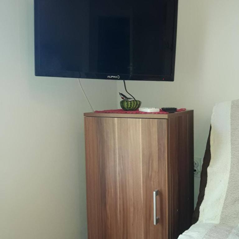 Studio S Sokobanja - Studio Apartman - 10