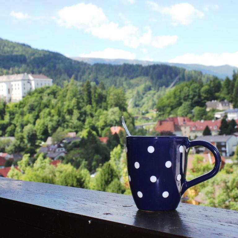 Haus Agnes, Murau - Apartment mit Blick auf die Berge - 13