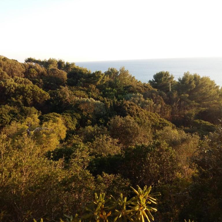Terrazza sul Mare - Casa Vacanze con 2 Camere da Letto - 13
