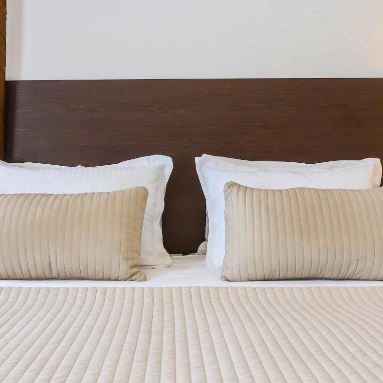 Hotel Divan - Standardna Dvokrevetna Soba sa Bračnim Krevetom/Zasebnim Krevetima - 9