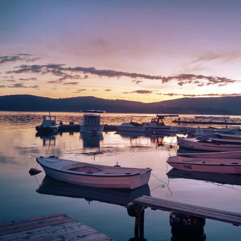 Apartments Siesta - Apartman sa Pogledom na Vrt - 18