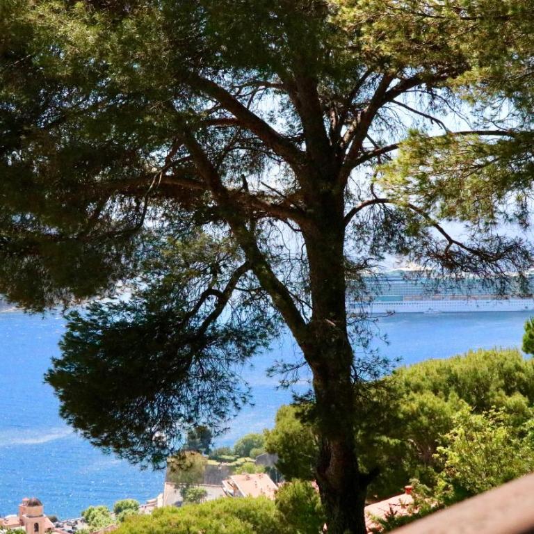 Les Jardins de Villefranche - Appartement - 37