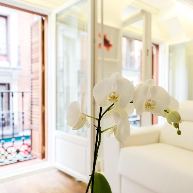 Atocha Peatonal - Barrio de las Letras - Superior Apartment - 52