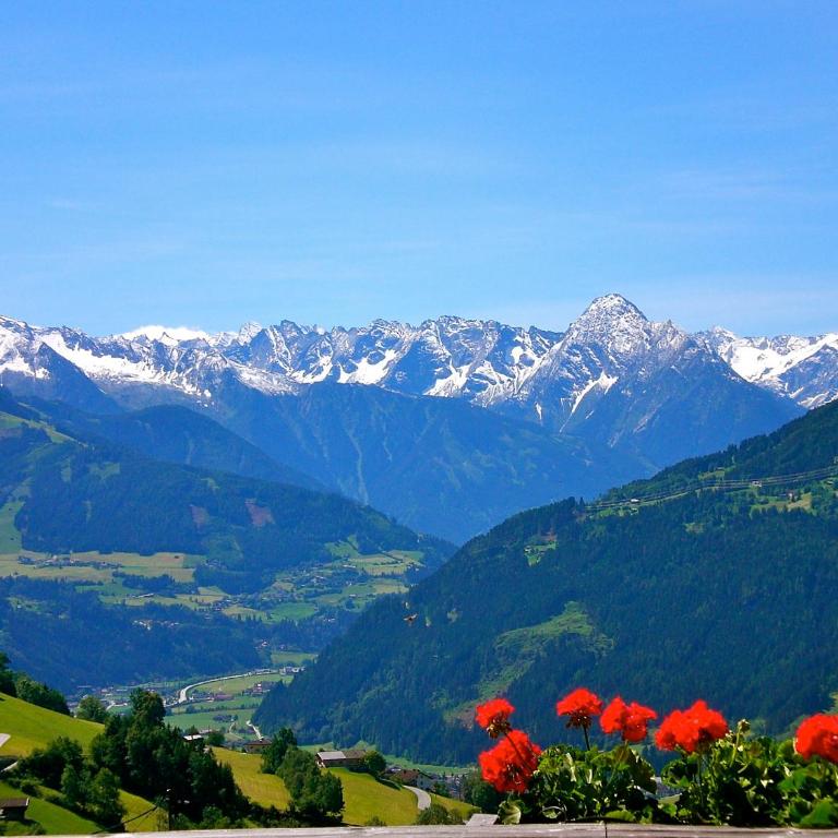 Bergkristall - Apartment mit Blick auf die Berge - 10