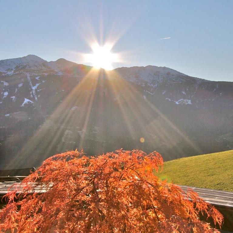 Bergkristall - Apartment mit Blick auf die Berge - 38