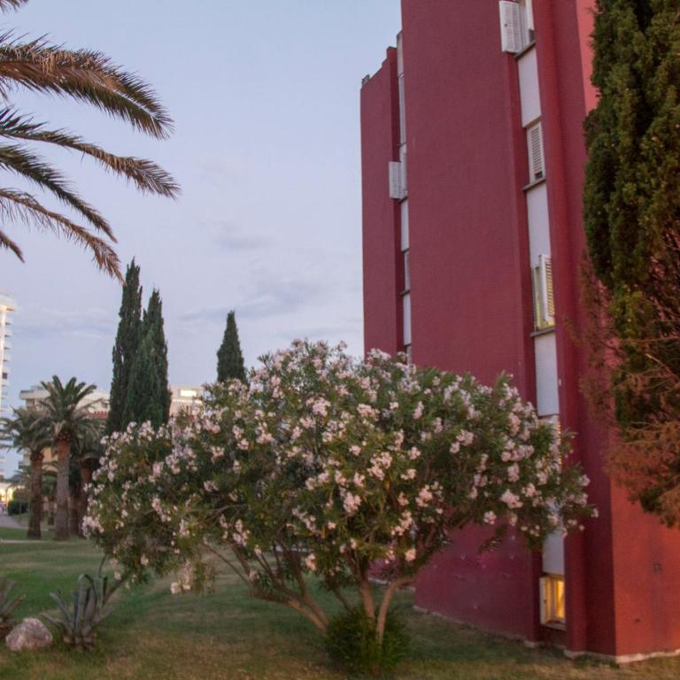 Apartment Oleander - Apartman - 6