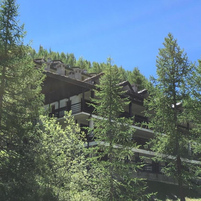 Appartamento Les Jumeaux - Appartamento con Vista Montagna - 16