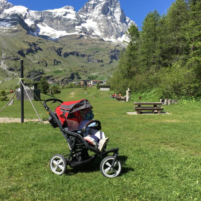 Appartamento Les Jumeaux - Appartamento con Vista Montagna - 30
