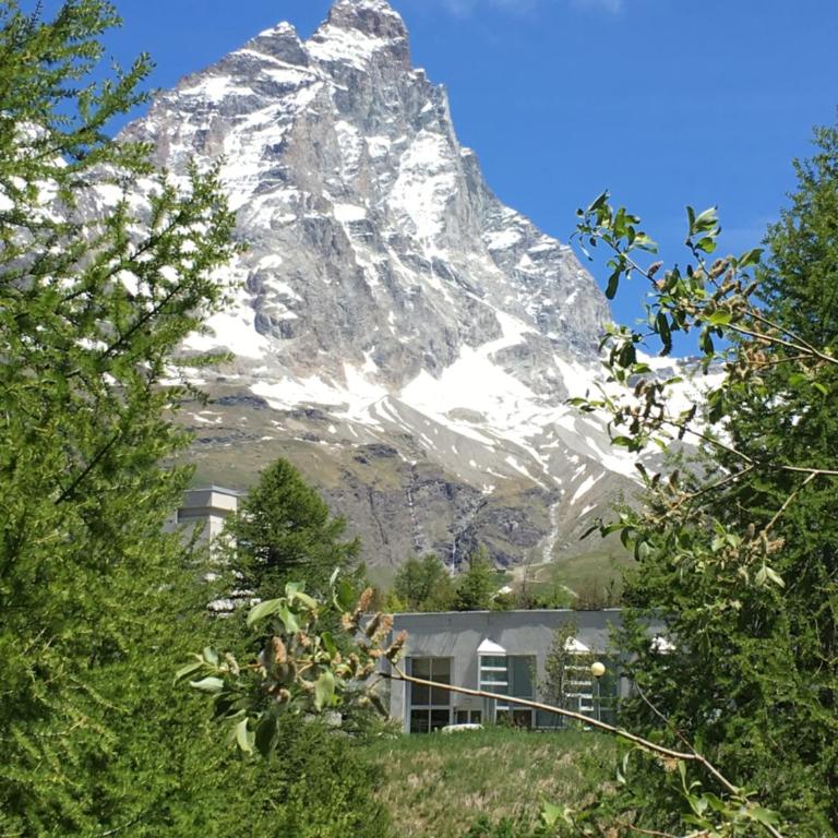 Appartamento Les Jumeaux - Appartamento con Vista Montagna - 18