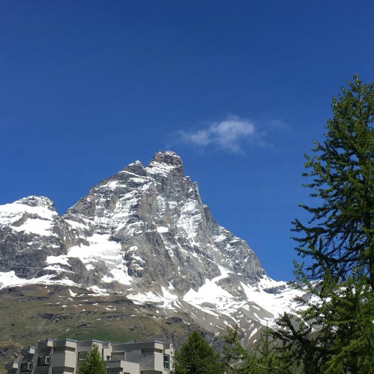 Appartamento Les Jumeaux - Appartamento con Vista Montagna - 21