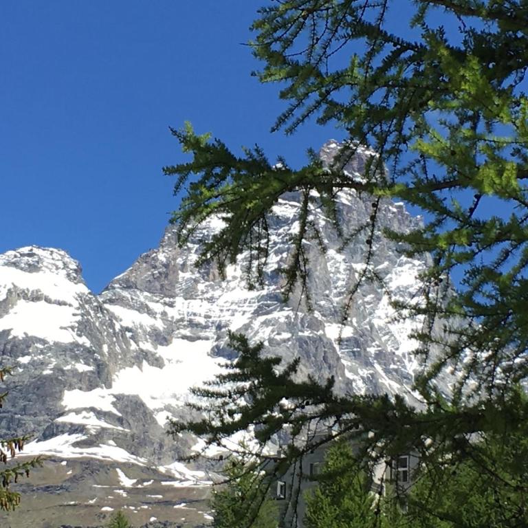Appartamento Les Jumeaux - Appartamento con Vista Montagna - 19
