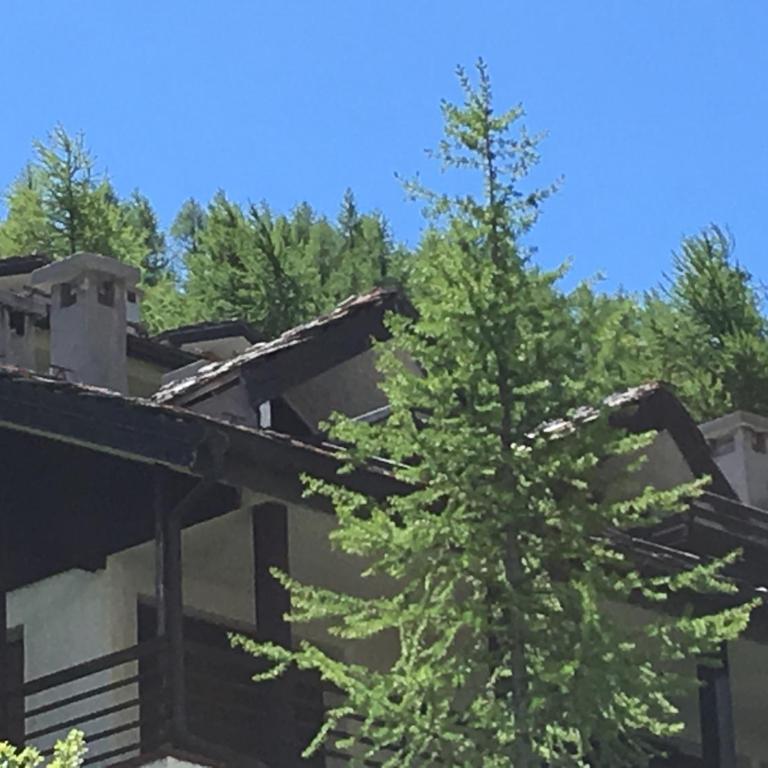 Appartamento Les Jumeaux - Appartamento con Vista Montagna - 17