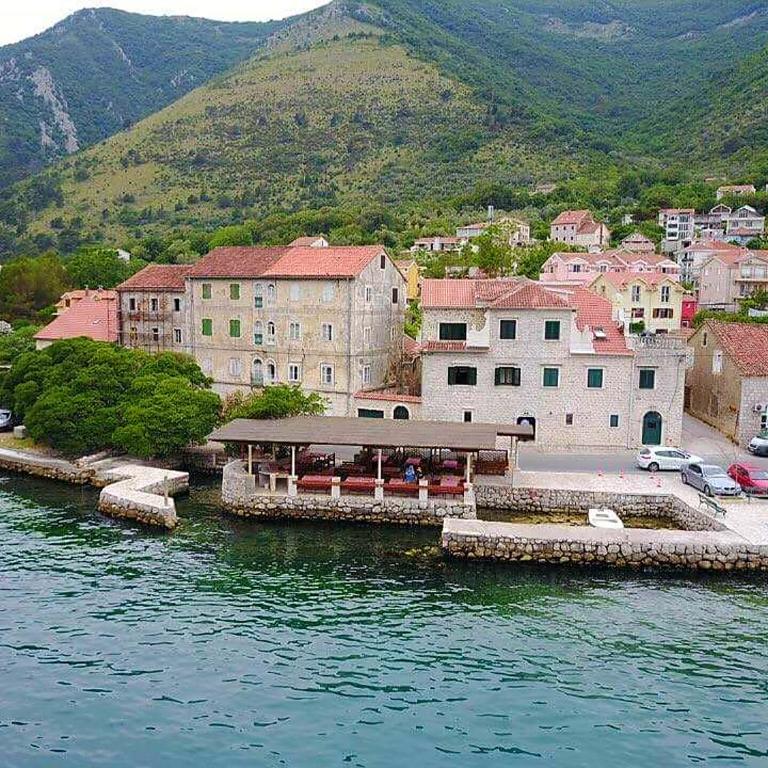 Lanterna Apartments - One-Bedroom Apartment - 1