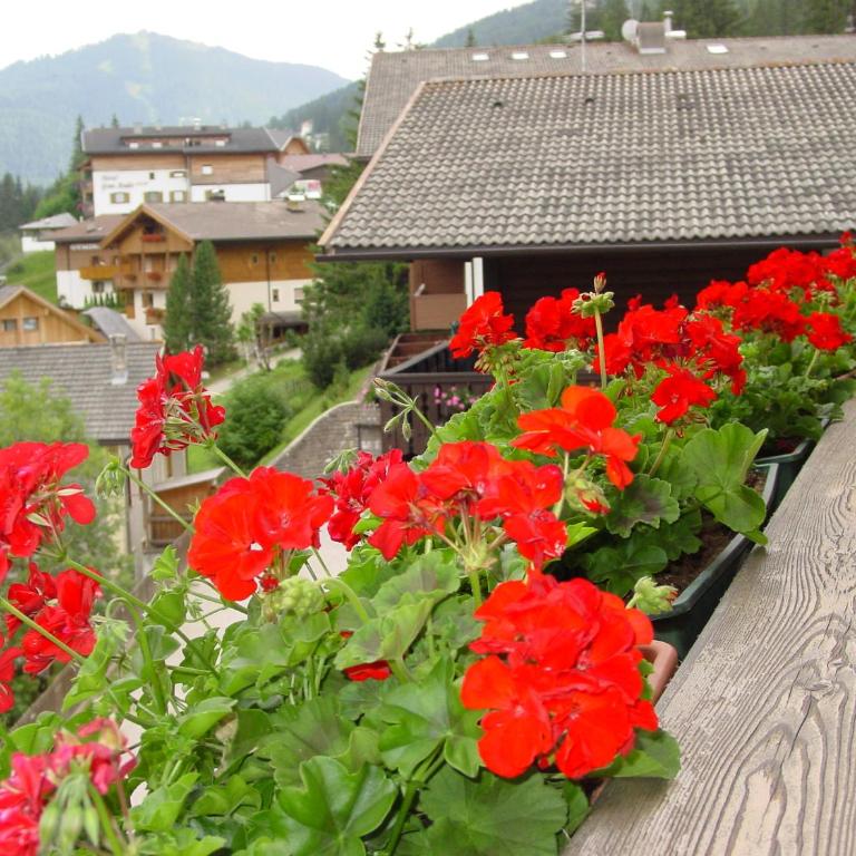 Ciasa Rudiferia Appartamenti in Alta Badia - Apartment mit 1 Schlafzimmer - 22