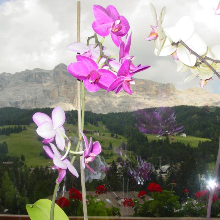 Ciasa Rudiferia Appartamenti in Alta Badia - Apartment mit 1 Schlafzimmer - 24