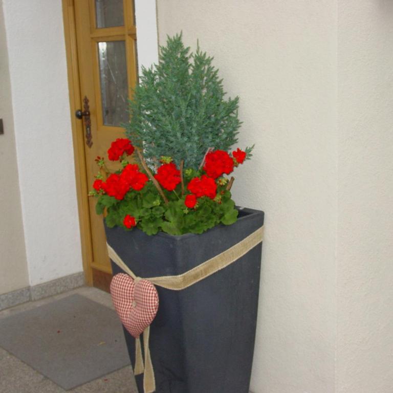 Ciasa Rudiferia Appartamenti in Alta Badia - Apartment mit 1 Schlafzimmer - 21