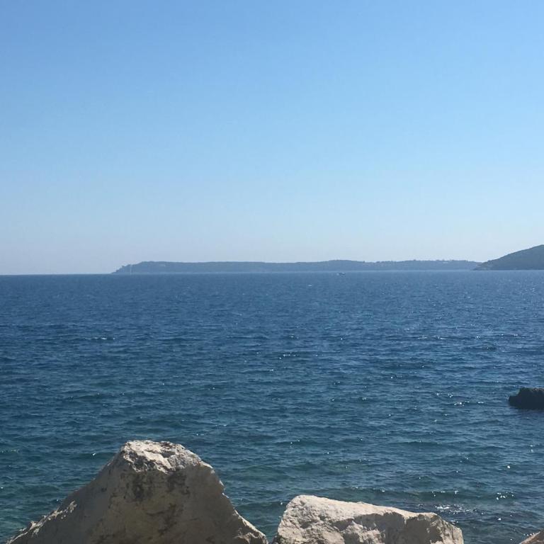 Apartman Stijepčić - Apartment - 22