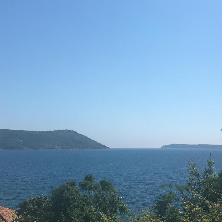 Apartman Stijepčić - Apartment - 20
