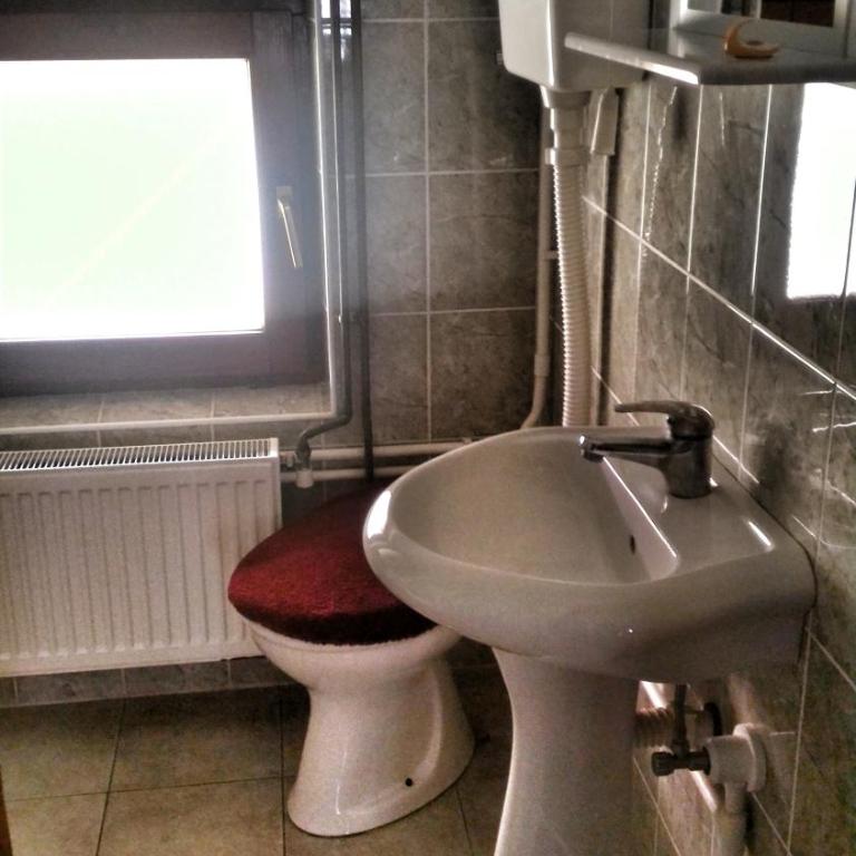 Smeštaj Antić - Porodični Studio - 7