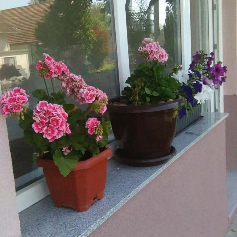 Apartment Beha - Two-Bedroom Apartment - 27