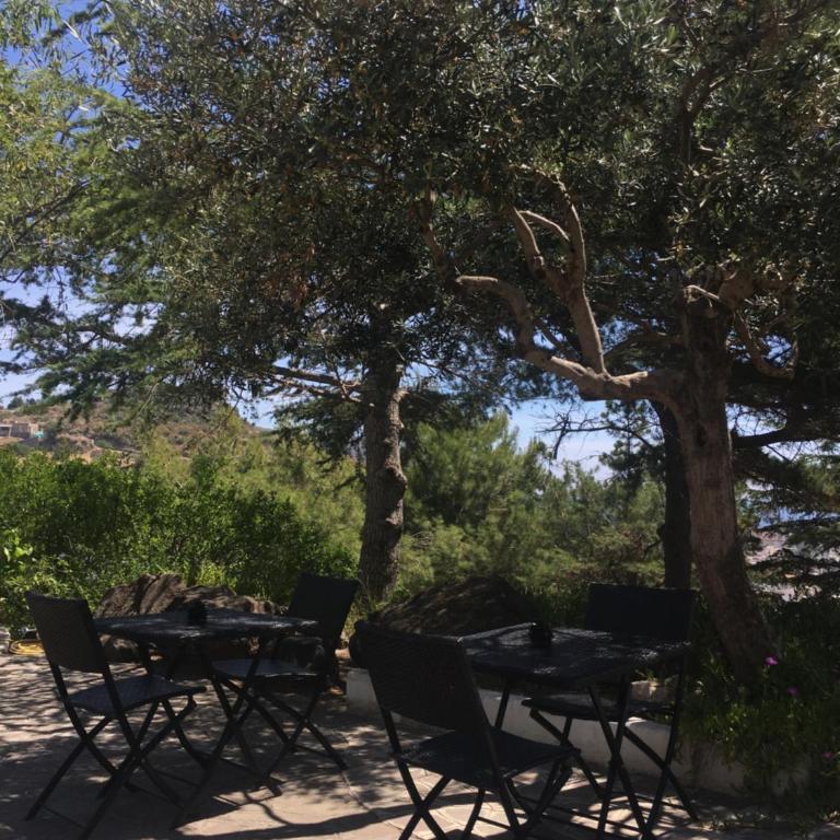 Costa Residence Vacanze - Appartamento Economy - 1