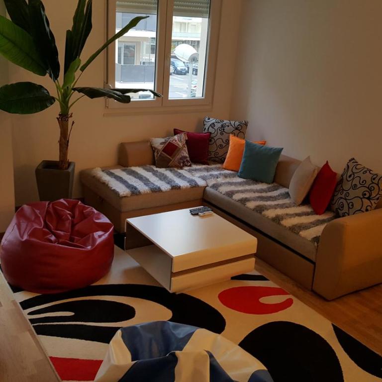 Zebra - Apartment - 3