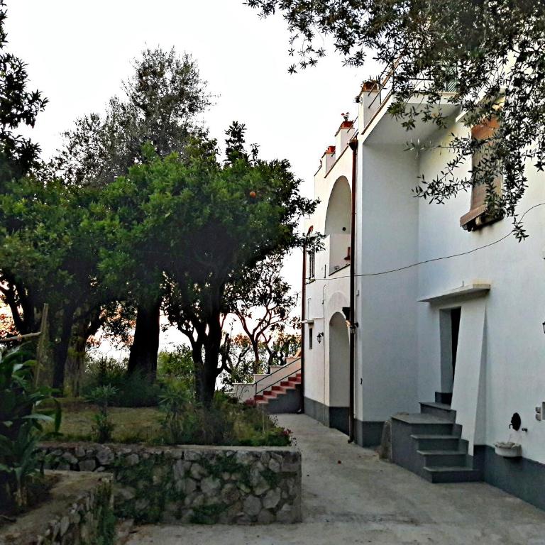 Villa Beatrice - Appartamento Standard - 28