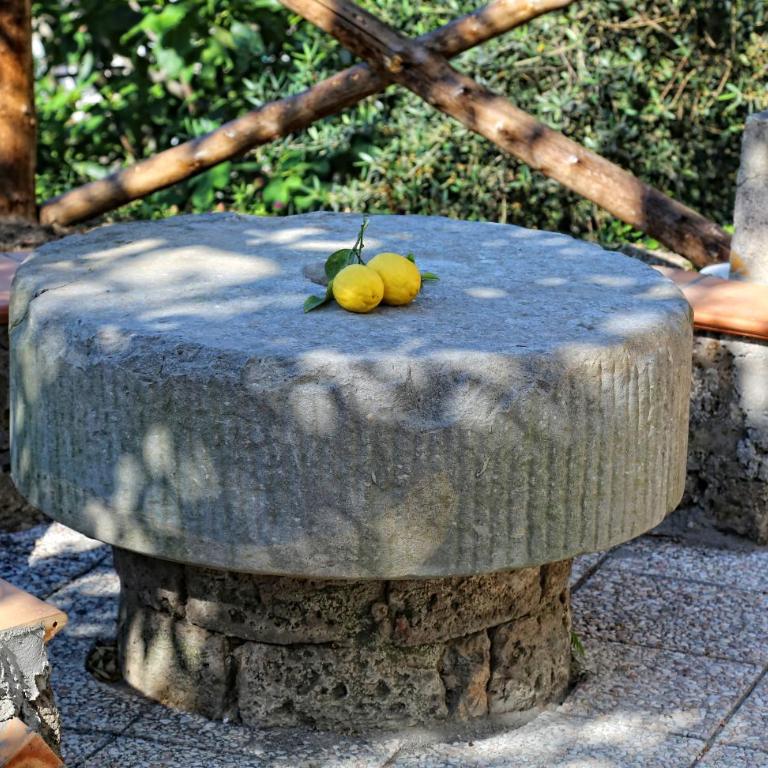 Villa Beatrice - Appartamento Standard - 23