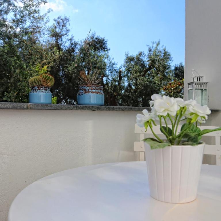 Villa Beatrice - Appartamento Standard - 32