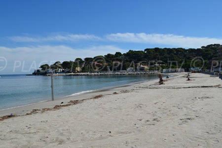 102-Appartement Refait à neuf vieil Antibes - Apartment mit 1 Schlafzimmer - 4