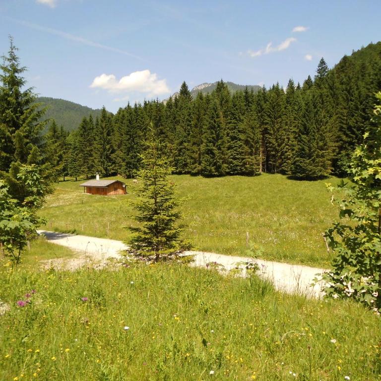 Seewiesenalm - Ferienhaus - 14