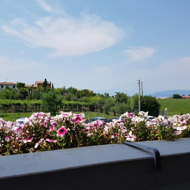 Hotel Bella Lazise - Camera Matrimoniale Basic con Terrazza - 1
