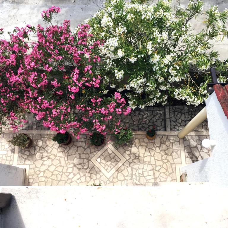 Apartments Sijerkovic - Loft - 2